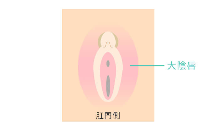 大陰唇の縮小