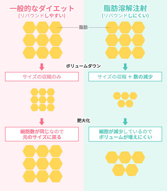 一般的なダイエットと脂肪溶解注射の違い